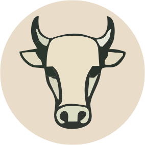 steak